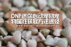体育直播