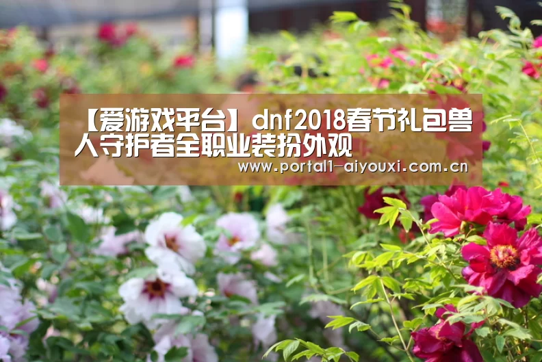 爱游戏平台